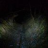 Nocny zjazd tunelo-wązwozem z Dolinki Grzybowskiej - fota oddaje jakieś 10% spektakularności