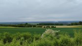 Piękny krajobraz, taki trochę industrialny miejscami (Góra Św. Anny)