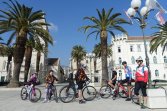 Ekipa pod palmami na deptaku w Trogirze