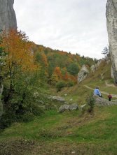 Dolina Bolechowicka jesienią